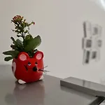 Eden Apartment