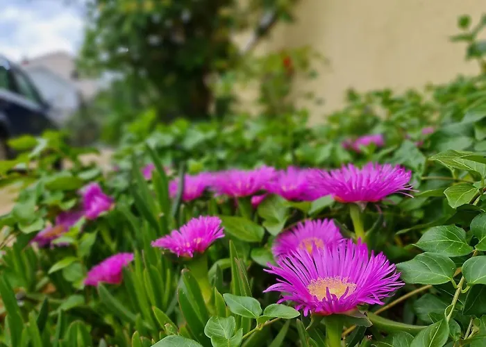 Apartman Eden Kornić